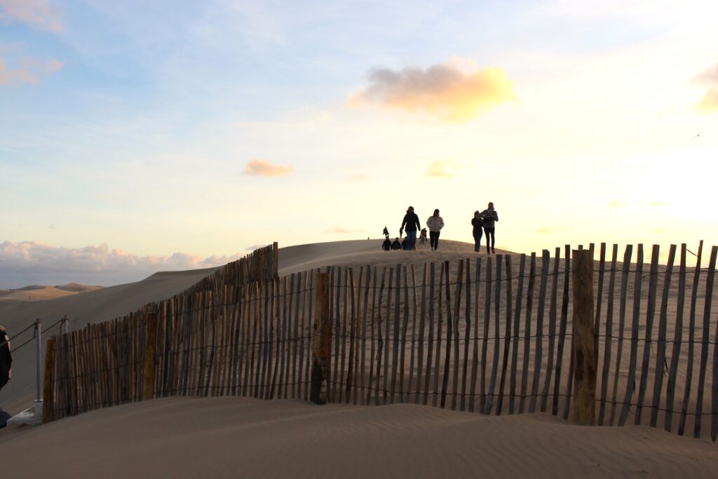 L'escalier est installé ! - Dune du Pilat