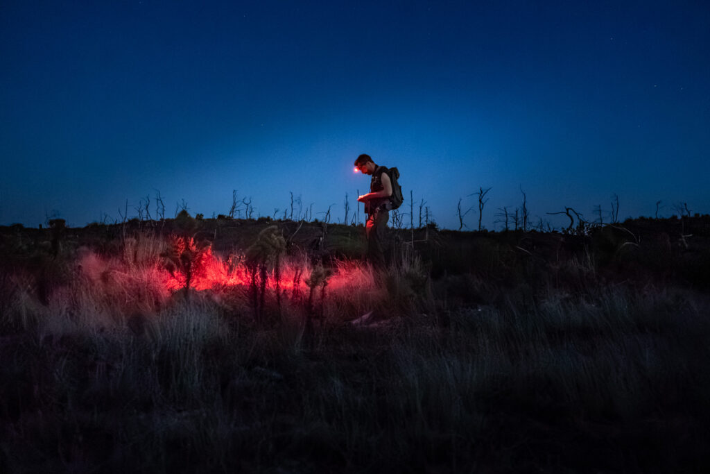 Nos animations nature - Dune du Pilat