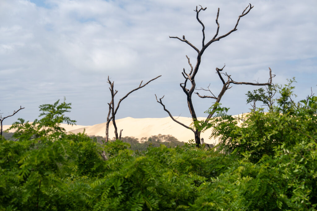 Retour en images - Dune du Pilat