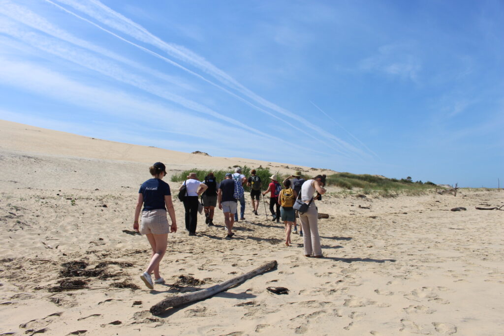 Partenariat avec le Conservatoire Botanique National Sud-Atlantique - Dune du Pilat