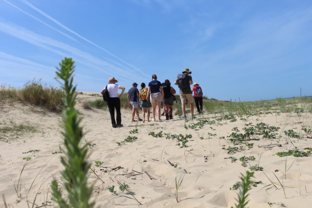 Partenariat avec le Conservatoire Botanique National Sud-Atlantique - Dune du Pilat