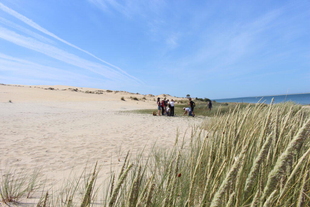 Réouverture de la Dune du Pilat - Dune du Pilat